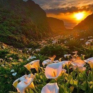 Meet your Posher, Kris